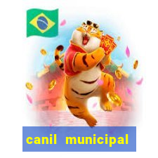 canil municipal porto alegre